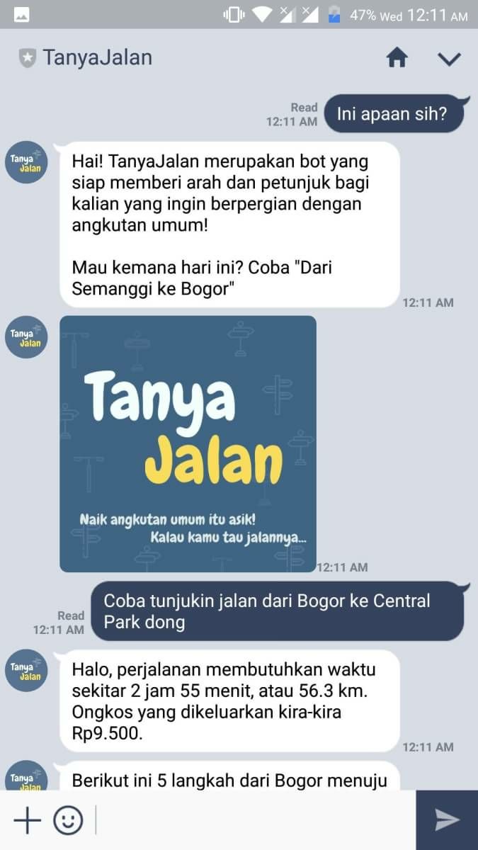 Chat1jpg